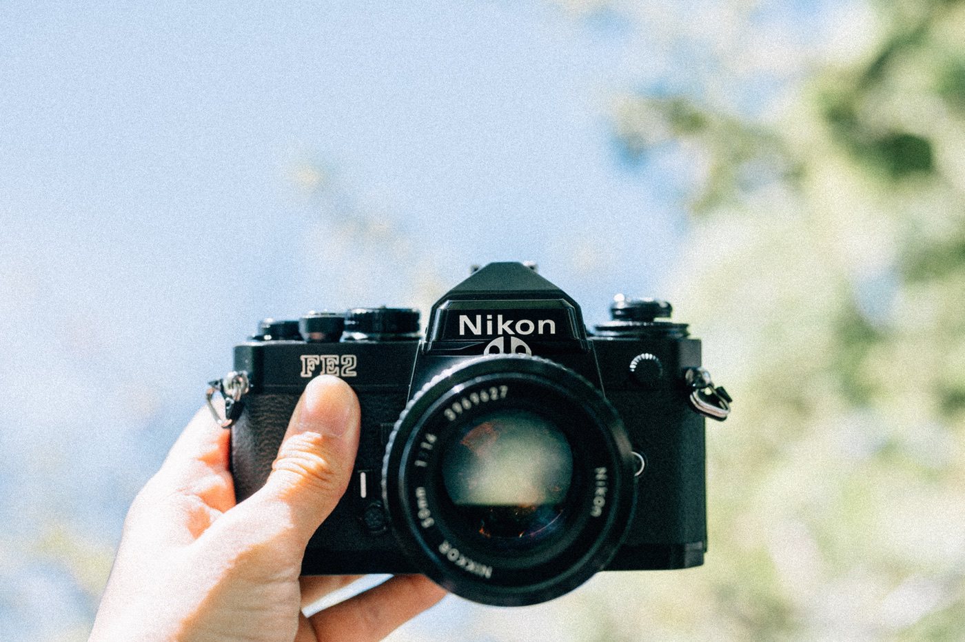 ニコンのフィルムカメラFE2を買いました！仕様や撮った写真を載せてみ 