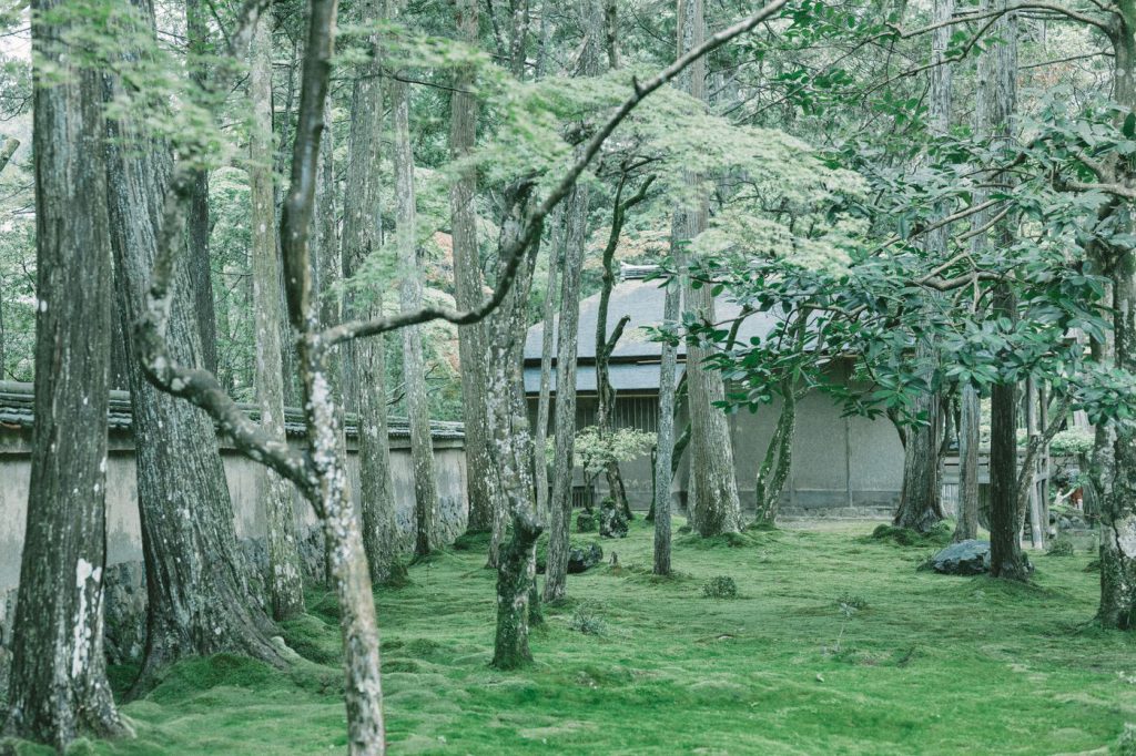 苔に覆われた神秘的な世界。京都「西芳寺」の行き方や魅力を伝えます！