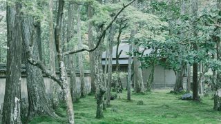 苔に覆われた神秘的な世界。京都「西芳寺」の行き方や魅力を伝えます！